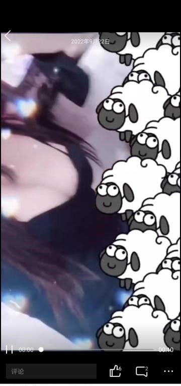 珠江路美美-91茶馆