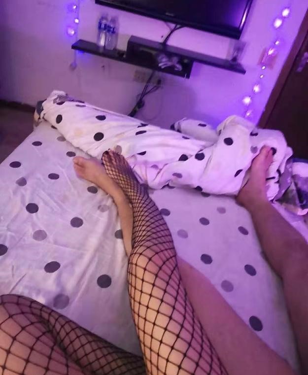 图片[2]-动物美容师兼职-91茶馆