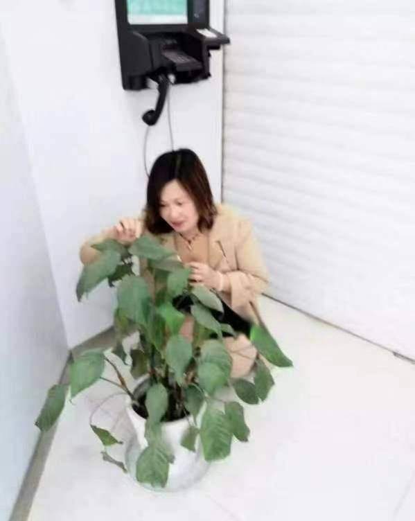 图片[2]-徐东美美-91茶馆