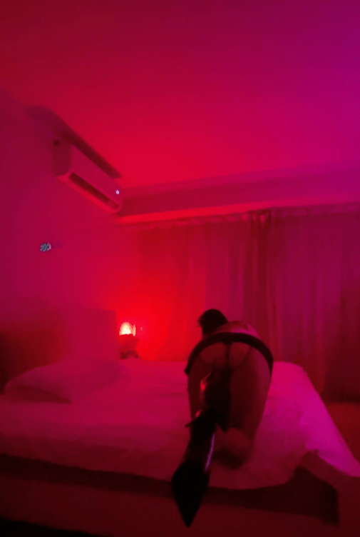 图片[2]-完美体验记-91茶馆