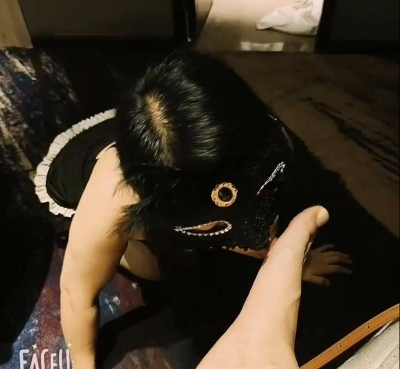 图片[2]-包天小野猫-91茶馆