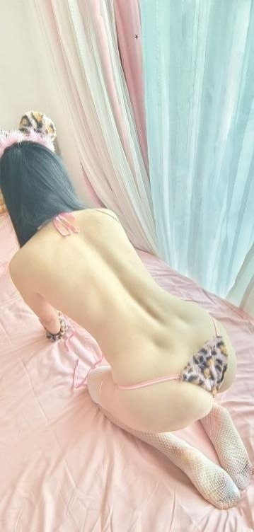 图片[3]-雁塔粉乳小花豹-91茶馆