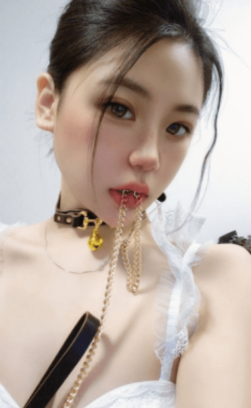 图片[2]-开发区花花-91茶馆