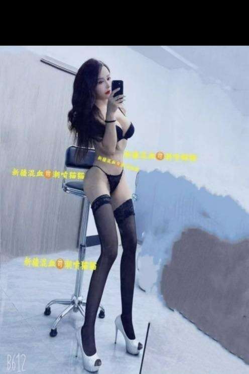 图片[2]-南湖猫猫-91茶馆