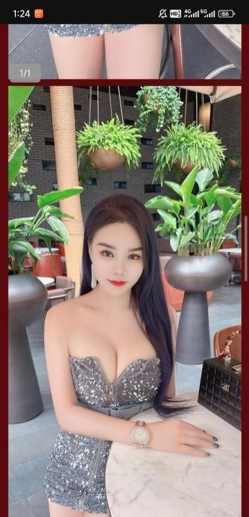 图片[2]-金牛玫瑰回归-91茶馆