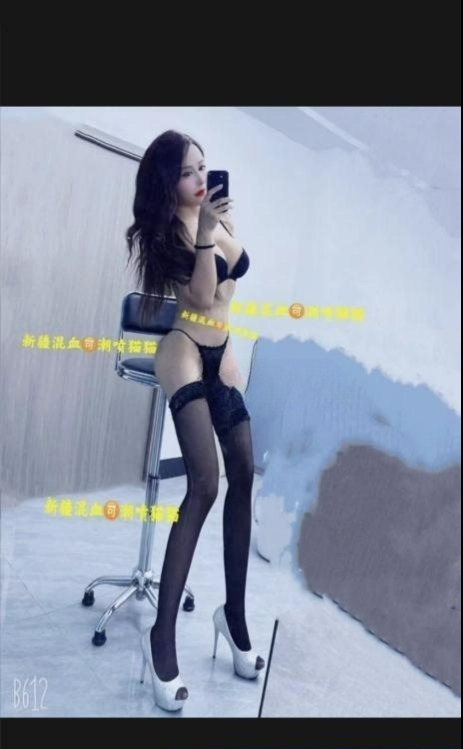 图片[2]-混血猫猫-91茶馆