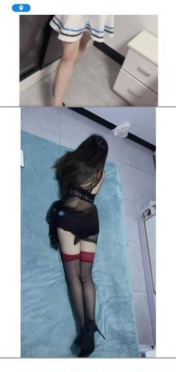 图片[2]-上海哈宝-91茶馆