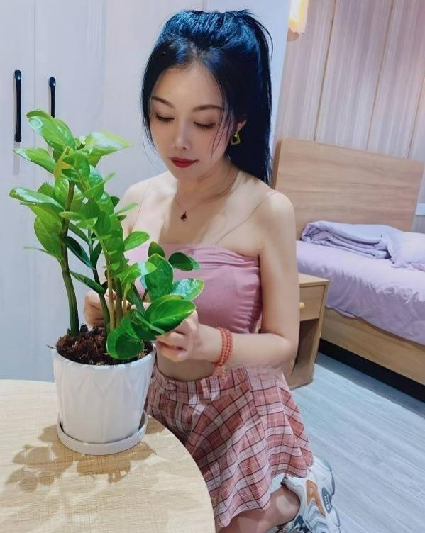 图片[4]-渝北服务控毛毛-91茶馆