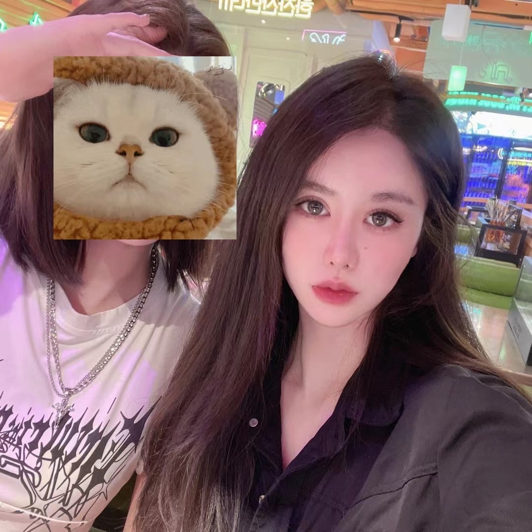 图片[6]-韩七七-91茶馆