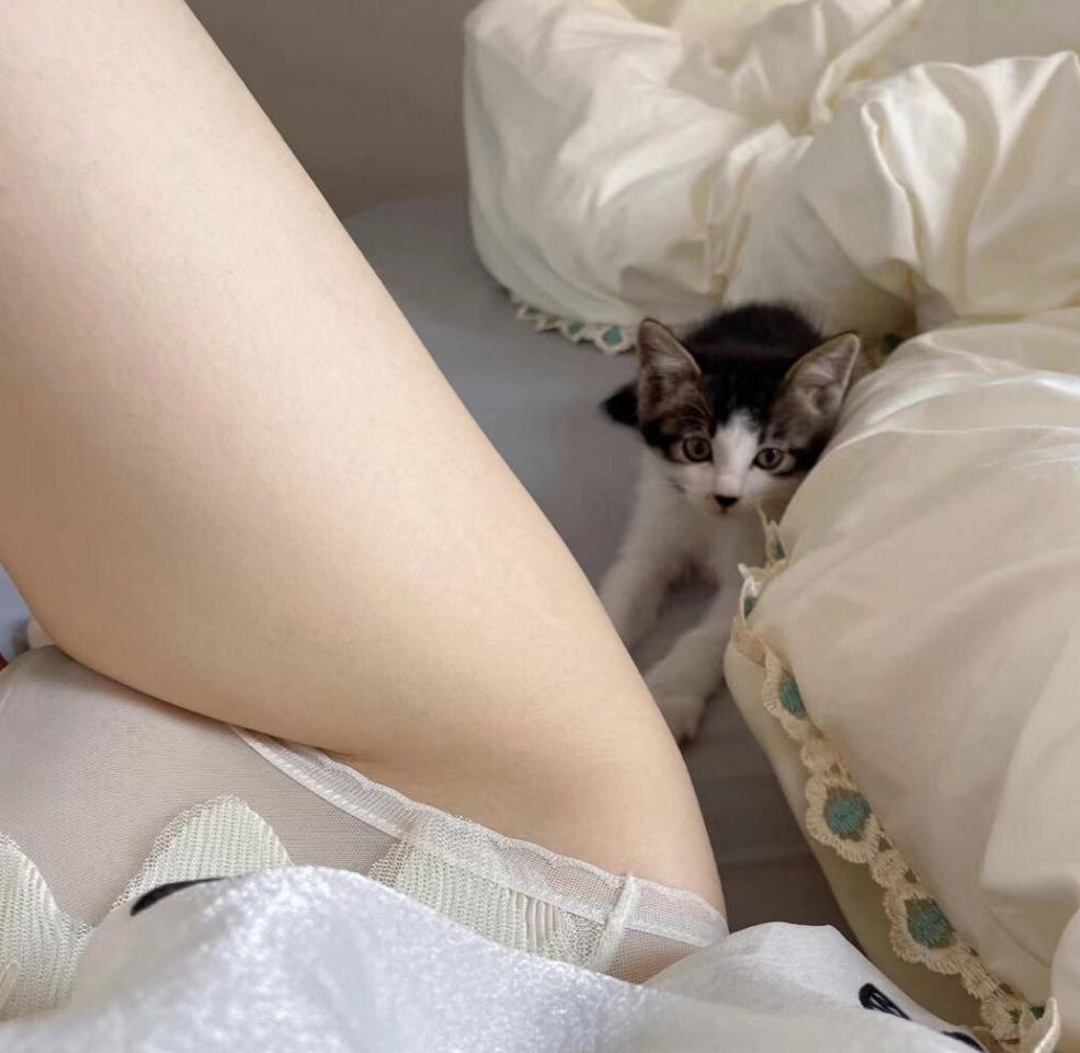 图片[3]-南站兼职妹子-91茶馆