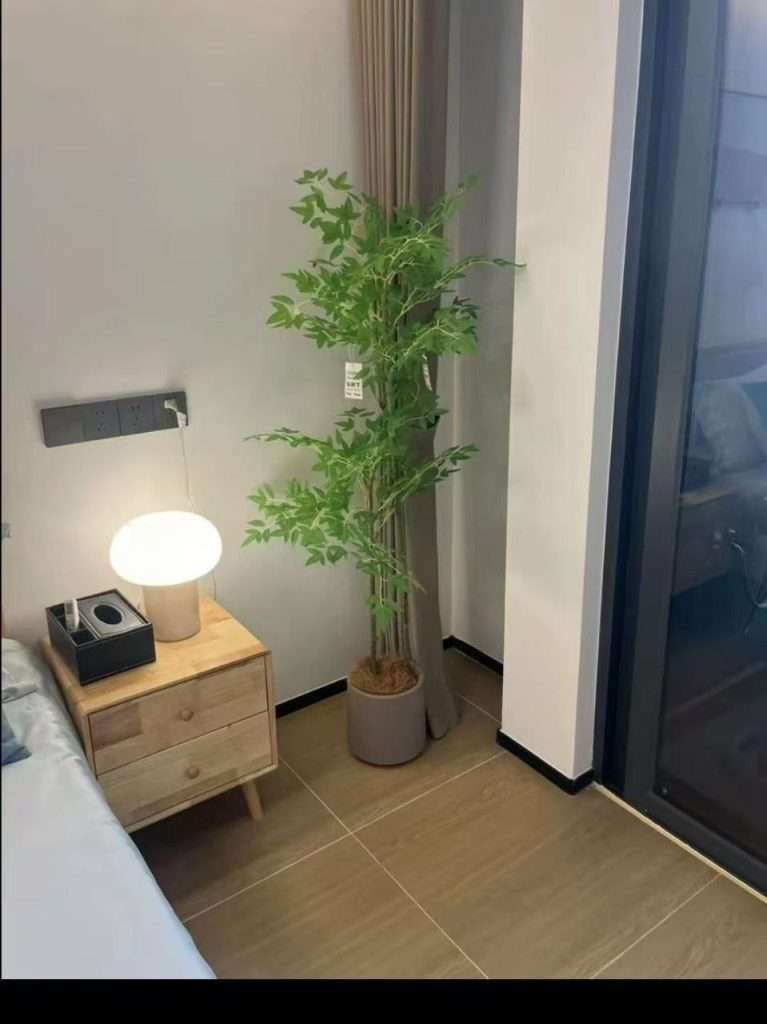 海珠东晓南抓龙筋-91茶馆