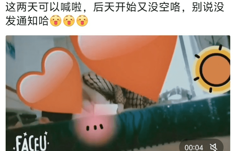 海沧大胸服务系-91约啪