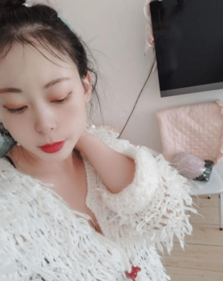 铁西良家少妇-91约啪