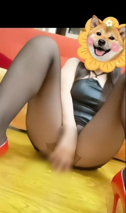 福田黑丝少妇-91约啪